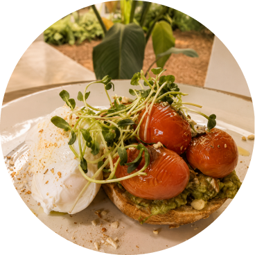 Plated food